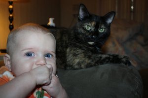 tortoise shell and baby